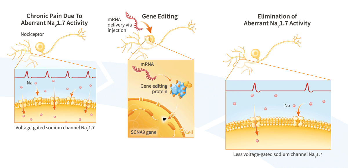 Gene-Editing Therapies for Chronic Pain